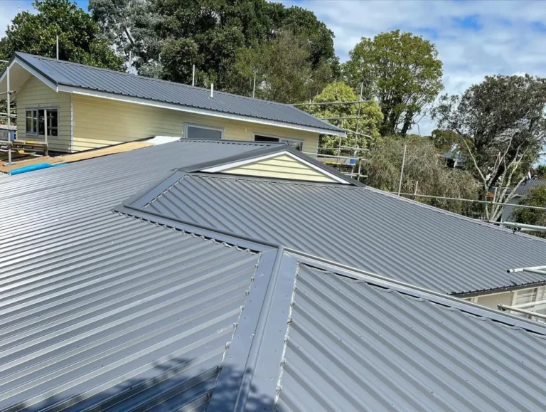 HDK Long Run Roofing Image